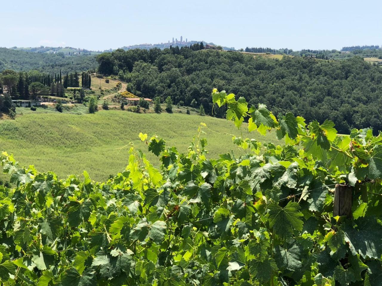 Agriturismo L'Olmo San Gimignano Exterior photo