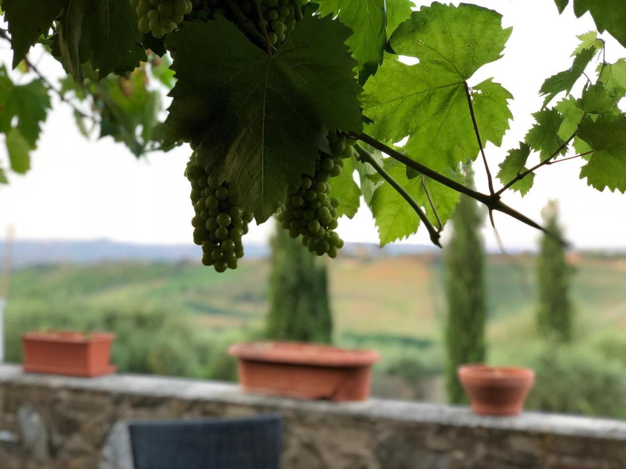 Agriturismo L'Olmo San Gimignano Exterior photo