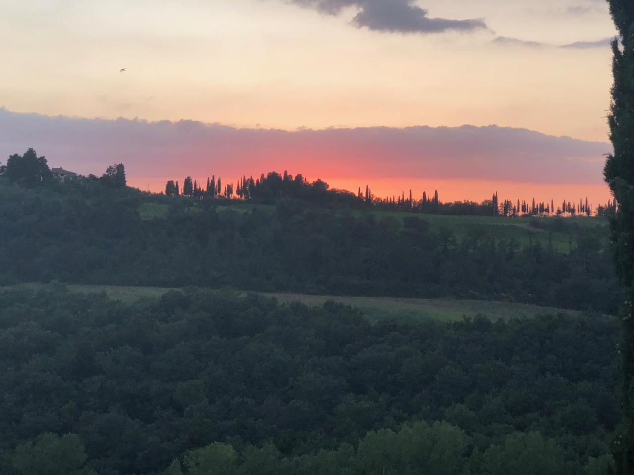 Agriturismo L'Olmo San Gimignano Exterior photo