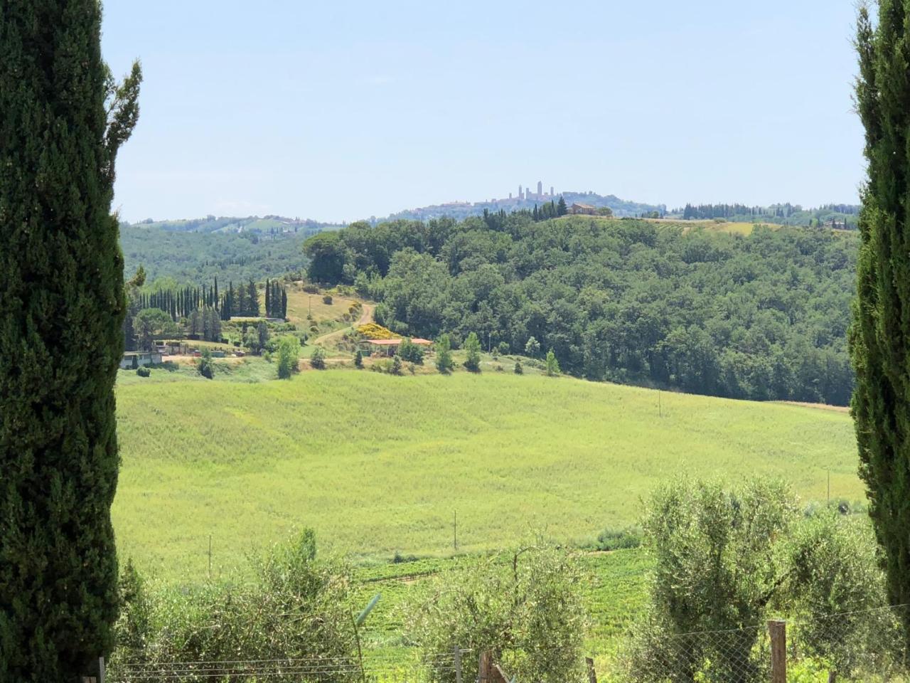 Agriturismo L'Olmo San Gimignano Exterior photo